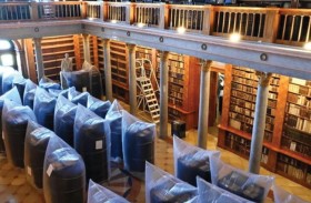 في المجر..الخنافس تهدد كتباً تاريخية نادرة