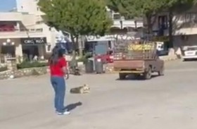 مقتل كلب بدم بارد يشعل مواقع التواصل 