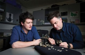 اكتشاف متحجرة حوت من عصر ما قبل التاريخ 