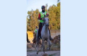 الفارس سالم ملهوف .. 3 ميداليات عالمية في «سباقات القدرة»