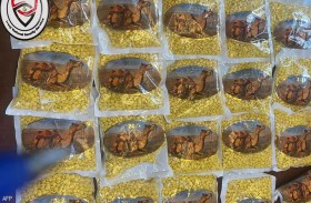 «حرب الكبتاغون».. ثاني أكبر ضربة للمخدرات في العراق خلال شهر