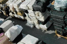 كلب يكشف شحنة مخدرات بملياري يورو