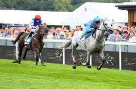 «إزينتي» يحرز لقب كأس الوثبة للخيول العربية في بريطانيا