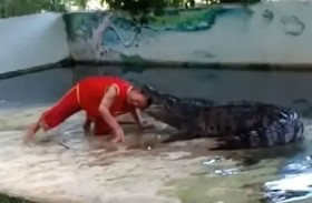 تمساح يفترس امرأة 