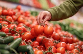 الطماطم قد تقلل خطر الإصابة بسرطان الكبد