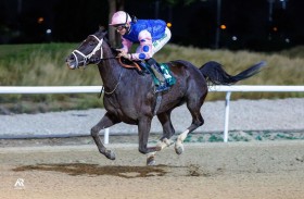 اليوم.. 98 خيلاً تتنافس على مضمار العين