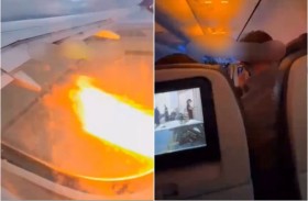 أرنب يشعل محرك طائرة 