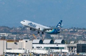 طائرة تصدم دبا والنتيجة دامية