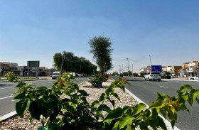 بلدية منطقة الظفرة تنجح في إزالة آثار المنخفض الجوي في زمن قياسي