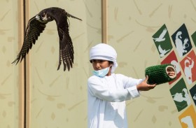 بطولة فخر الأجيال للصيد بالصقور «التلواح» ساحة لإعداد أجيال الغد