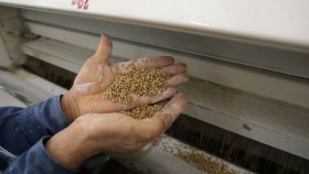 غارديان: أزمة الغذاء لم تبدأ بعد الحرب في أوكرانيا