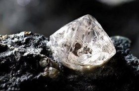 الأسود الميكروبية  كائنات حية دقيقة مفترسة