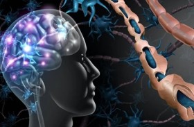 دراسة تبشر بثورة في فهم عمل الدماغ البشري