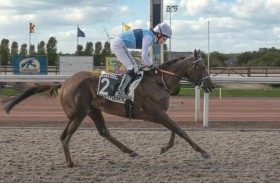 نخبة خيول السرعة تتنافس على كأس الوثبة اليوم في بلجيكا