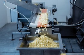 قطاعة البطاطا تسحق موظفة 