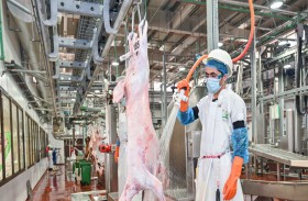 بلدية مدينة أبوظبي تحقق إنجازات مميزة على صعيد خدمات الصحة العامة خلال النصف الأول من العام الجاري 2023