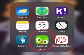 ماذا حدث مع بومة «دوولينغو»؟
