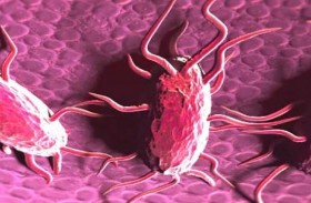 اكتشاف بكتيريا لها قدرات خارقة.. وعلماء يحذرون