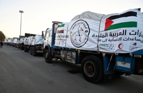 ضمن عملية «الفارس الشهم 3»... دخول 11 شاحنة مساعدات إنسانية إماراتية إلى غزة