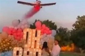 حفل التعرف على جنس المولود يتحول إلى كارثة 