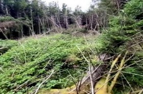 اكتشاف مكان هبوط صحون طائرة