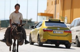 ياباني ينهي جولة في تركيا على ظهر الحمار 