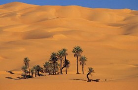 ماتوا عطشا بالبحث عن الذهب 