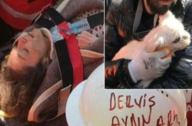 كلبة.. أرشدت عن موقع صاحبتها تحت الأنقاض 