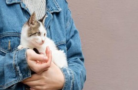 امتلاك حيوان أليف يقلل ضغط الدم