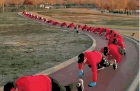 زحفة التمساح لتقوية الظهر