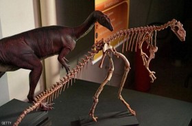 نتائج مهمة عن الكويكب الذي أباد الديناصورات 