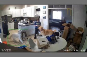 تقتل والدتها ثم تغني للكلاب