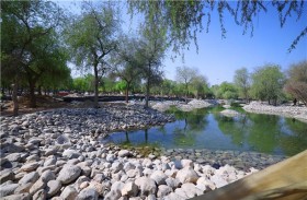 بلدية مدينة العين تطور غابة وادي الصاروج لتصبح وجهة ترفيهية متكاملة