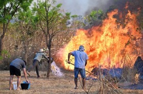 الحرائق في البرازيل تطال متنزه برازيليا الوطني 
