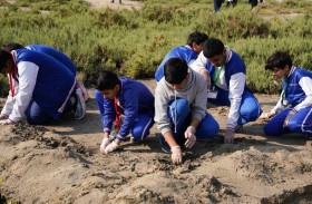 بلدية عجمان تنفذ مبادرة تحالف القرم من عجمان