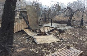 منزل ينجو من حريق مدمر بفضل شجرة توت