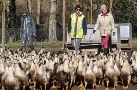 إنفلونزا الطيور تتفاقم مجددا في فرنسا