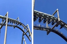 أفعوانية تتعطل على ارتفاع شاهق