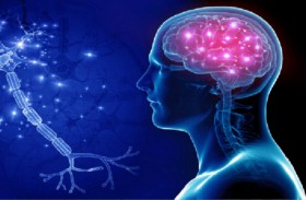 مكملات أوميغا 3 للحفاظ على الذاكرة حتى بعد تعرضها لخطر جزئي