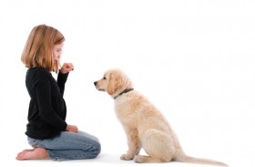 كيف تعالج الحيوانات الأليفة الاكتئاب والتوتر فينا.. ؟