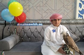 تحقيق أمنية تُسعد طفلا بمنحه صقرا يحقق حلم طفولته