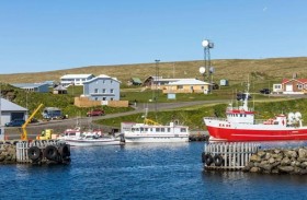 جزيرة يسكنها 20 شخصاً مع آلاف الطيور