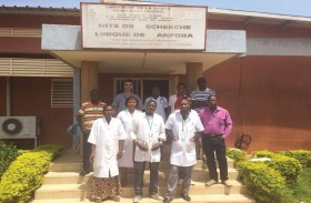 باحثو جامعة نيويورك أبوظبي يكتشفون استراتيجية جديدة للتهرب المناعي يستخدمها طفيلي البلازموديوم المسبب لمرض الملاريا