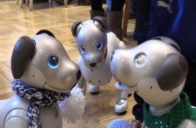 مقهى .. زبائنه كلاب روبوتية