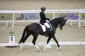 «دولية الترويض» تنطلق اليوم في «الفرسان الرياضي» بأبوظبي