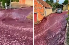 النبيذ يحول شوارع مدينة برتغالية إلى أنهار