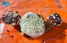 صحف عربية : تفاعلات رمان الكبتاجون تنهك بيروت المنقسمة