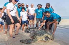 إنقاذ 1000 سلحفاة بحرية في أقل من أربع سنوات