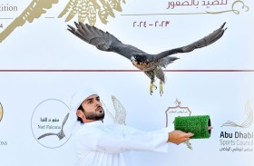 كأس رئيس الدولة للصيد بالصقور.. «إس 94» يقتنص رمز الجير شاهين فرخ لفئة الشيوخ