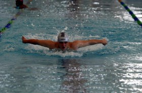 1300 مدربا ومدربة و2609 متابعين من 26 دولة شاركوا في الدورة التدريبية لسباحة الأولمبياد الخاص على المنصة الافتراضية